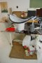 020-DSC_1036.JPG.small.jpeg