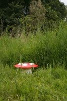 25_mushroomjp.jpg